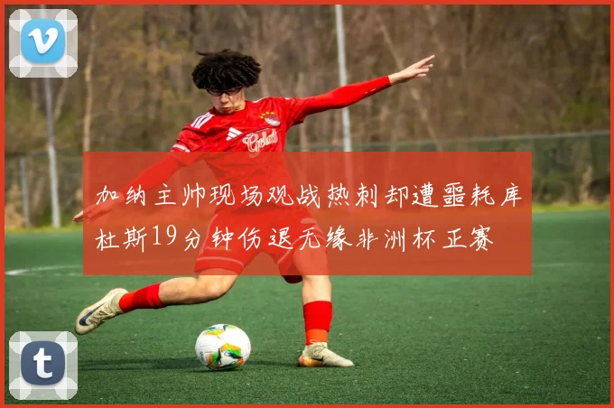 加纳主帅现场观战热刺却遭噩耗库杜斯19分钟伤退无缘非洲杯正赛