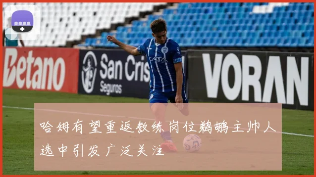 哈姆有望重返教练岗位鹈鹕主帅人选中引发广泛关注